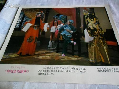 斯旺西大学degree